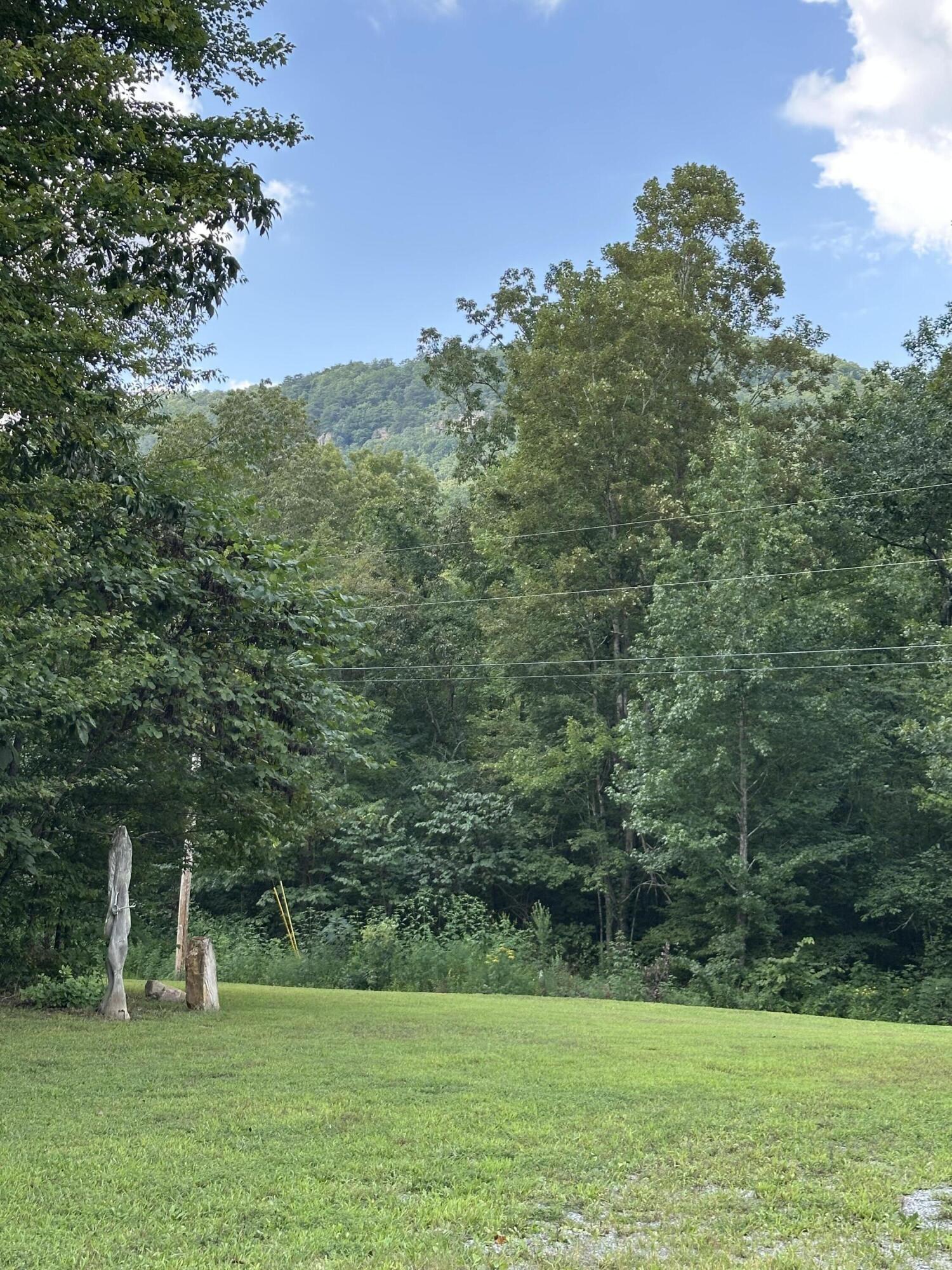 563 Old Union Road Dunlap, TN 37327 - Photo 5 of 22 IMG_7971