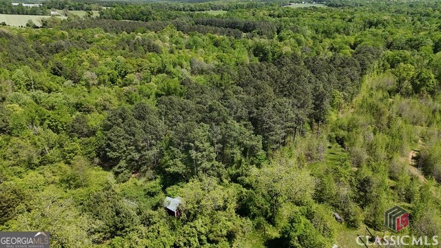 0 Moore Road Elberton, GA 30635 - Photo 19 of 67