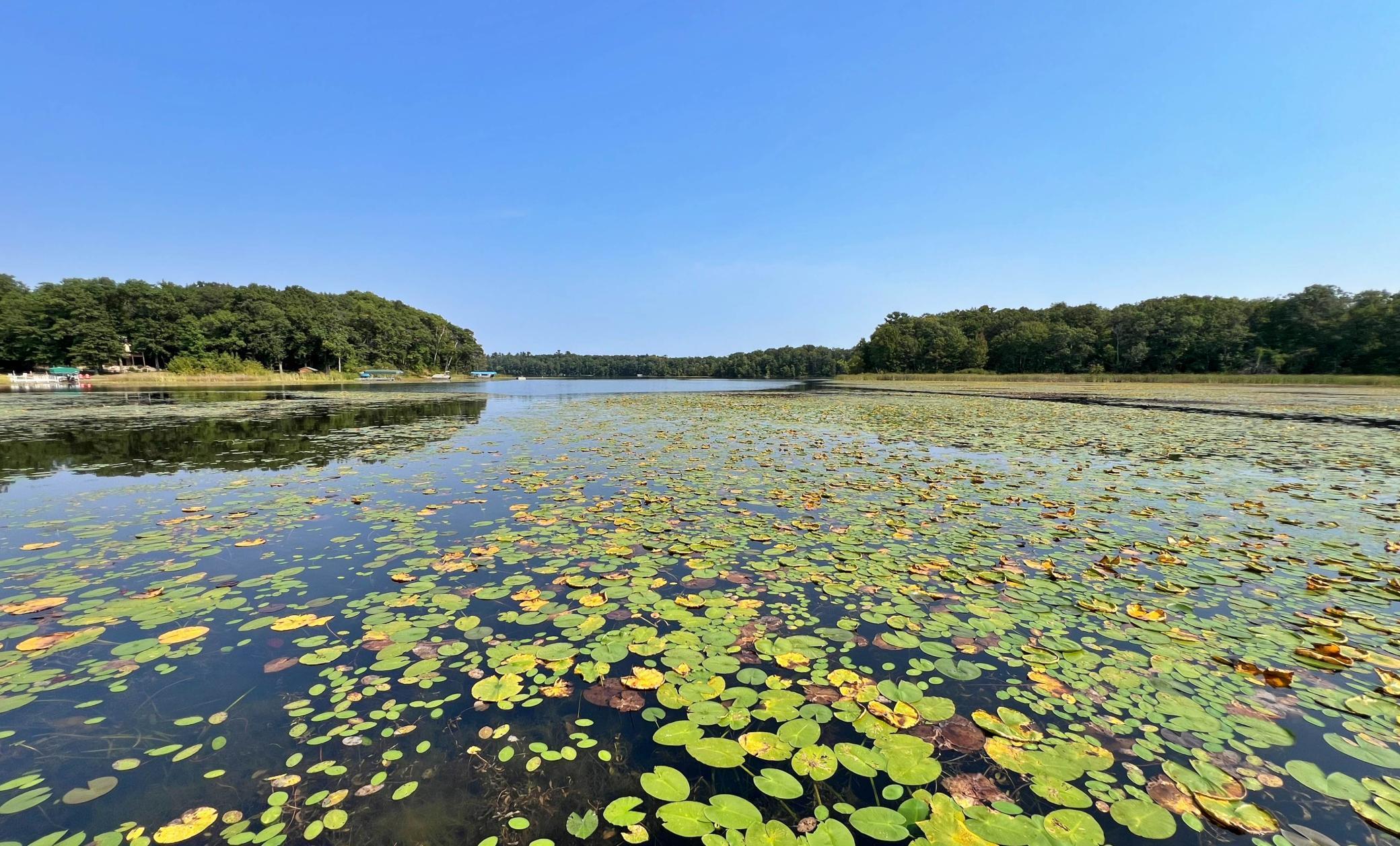 22835 Osprey Road Deerwood, MN 56444 - Photo 38 of 45