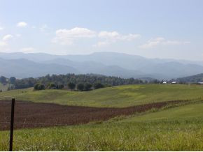 ----- Lola Humphreys Road Limestone, TN 37681 - Photo 13 of 24 Photo 13