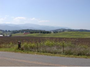 ----- Lola Humphreys Road Limestone, TN 37681 - Photo 14 of 24 Photo 14