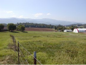 ----- Lola Humphreys Road Limestone, TN 37681 - Photo 18 of 24 Photo 18