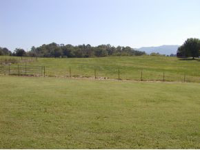 ----- Lola Humphreys Road Limestone, TN 37681 - Photo 24 of 24 Photo 24