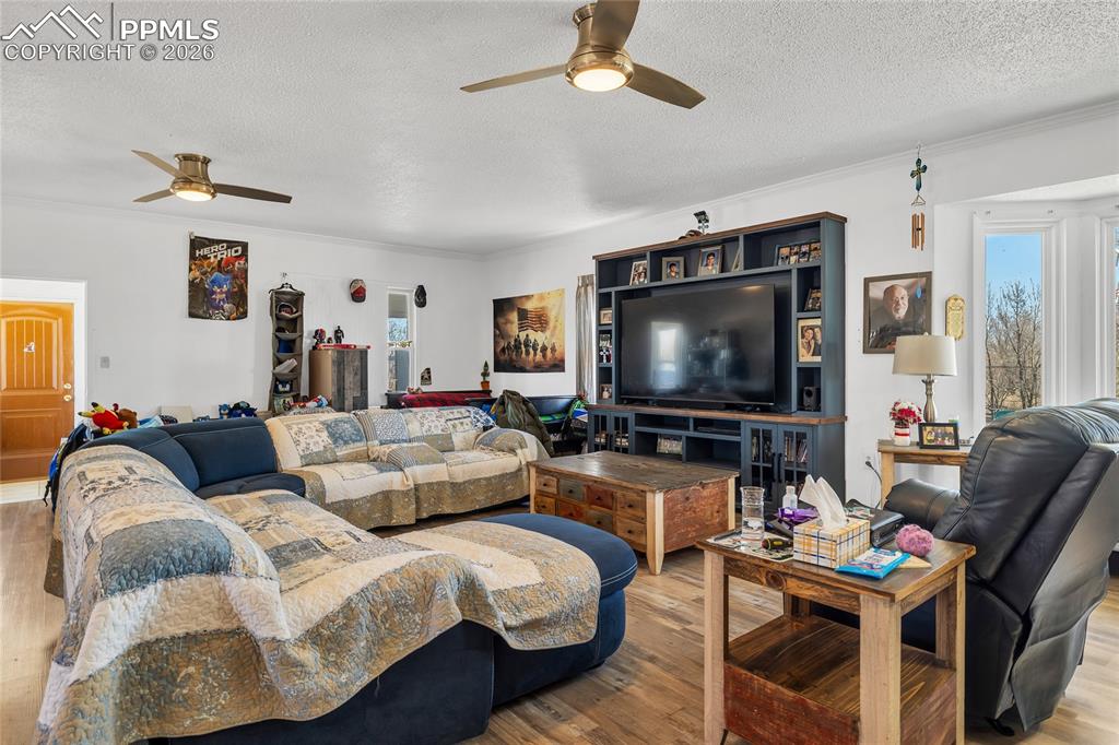 68300 Highway 50 Fowler, CO 81039 - Photo 25 of 47 Living area with wood finished floors, a ceiling fan, a textured ceiling, crown molding, and healthy amount of natural light