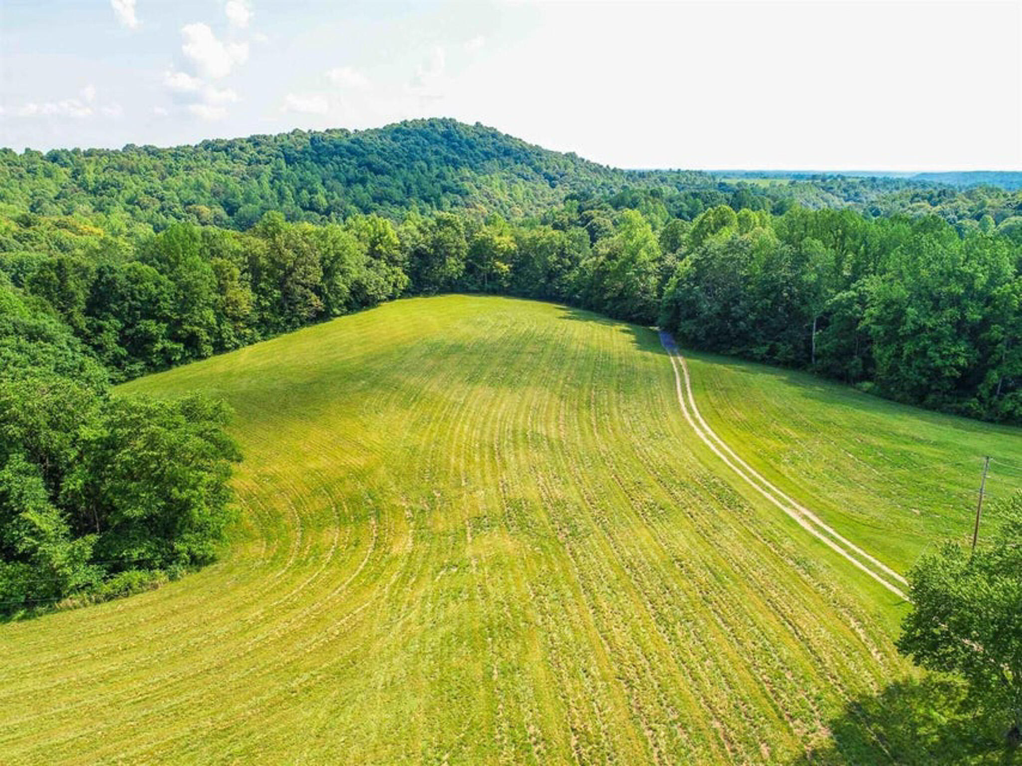 1640 Clear Branch Road Liberty, KY 42539 - Photo 92 of 135 20200917165213957325000000-o