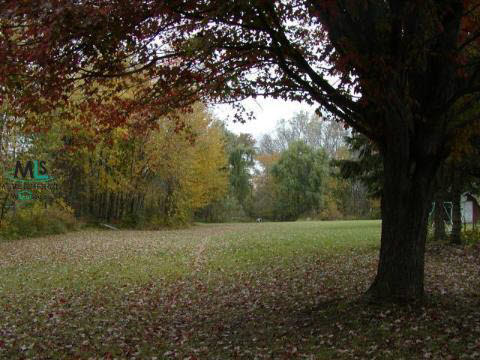 11391 35 Mile Road Romeo, MI 48065 - Photo 5 of 8 708288-4.JPG