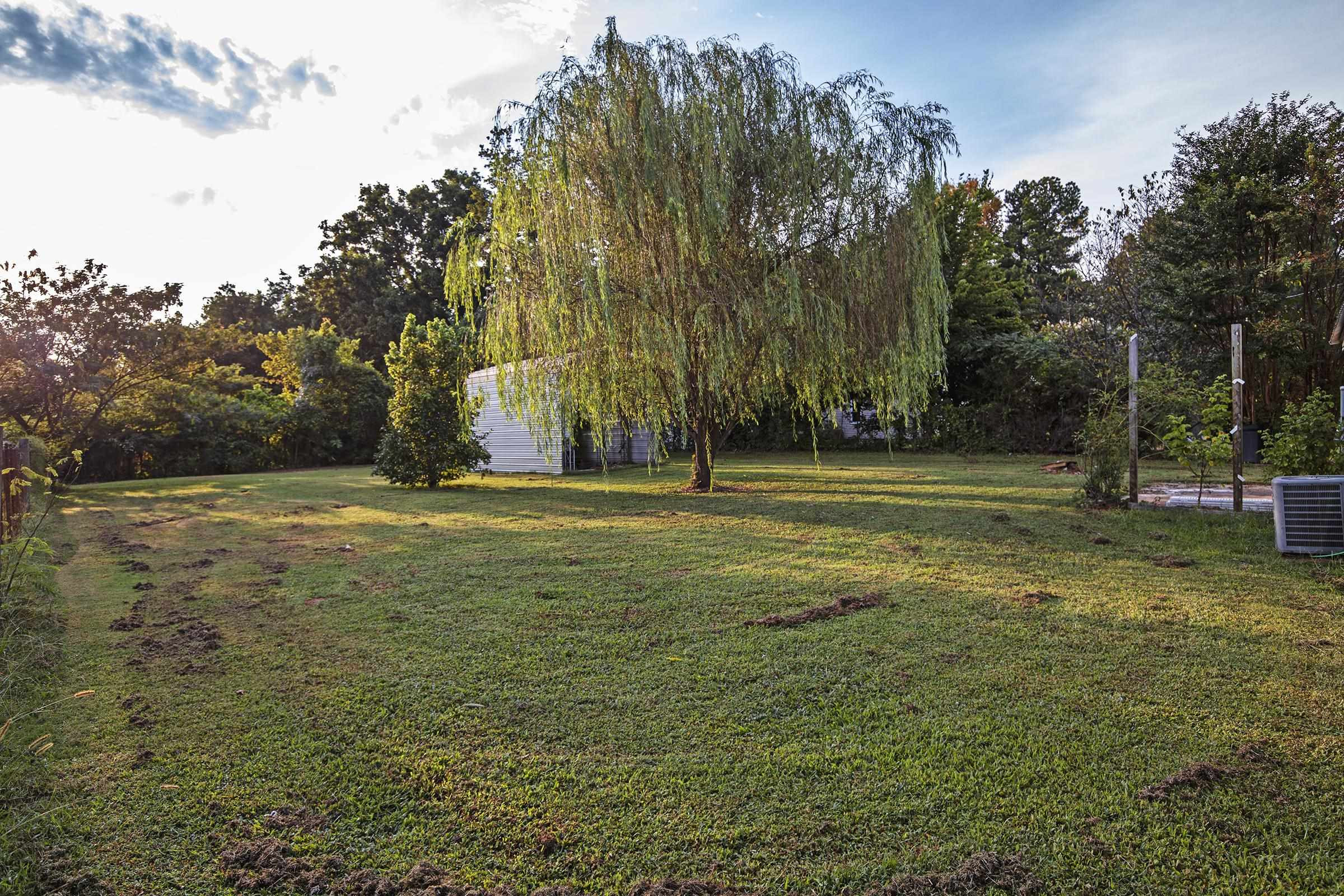369 Bringle Road Covington, TN 38019 - Photo 2 of 14 Photo 2