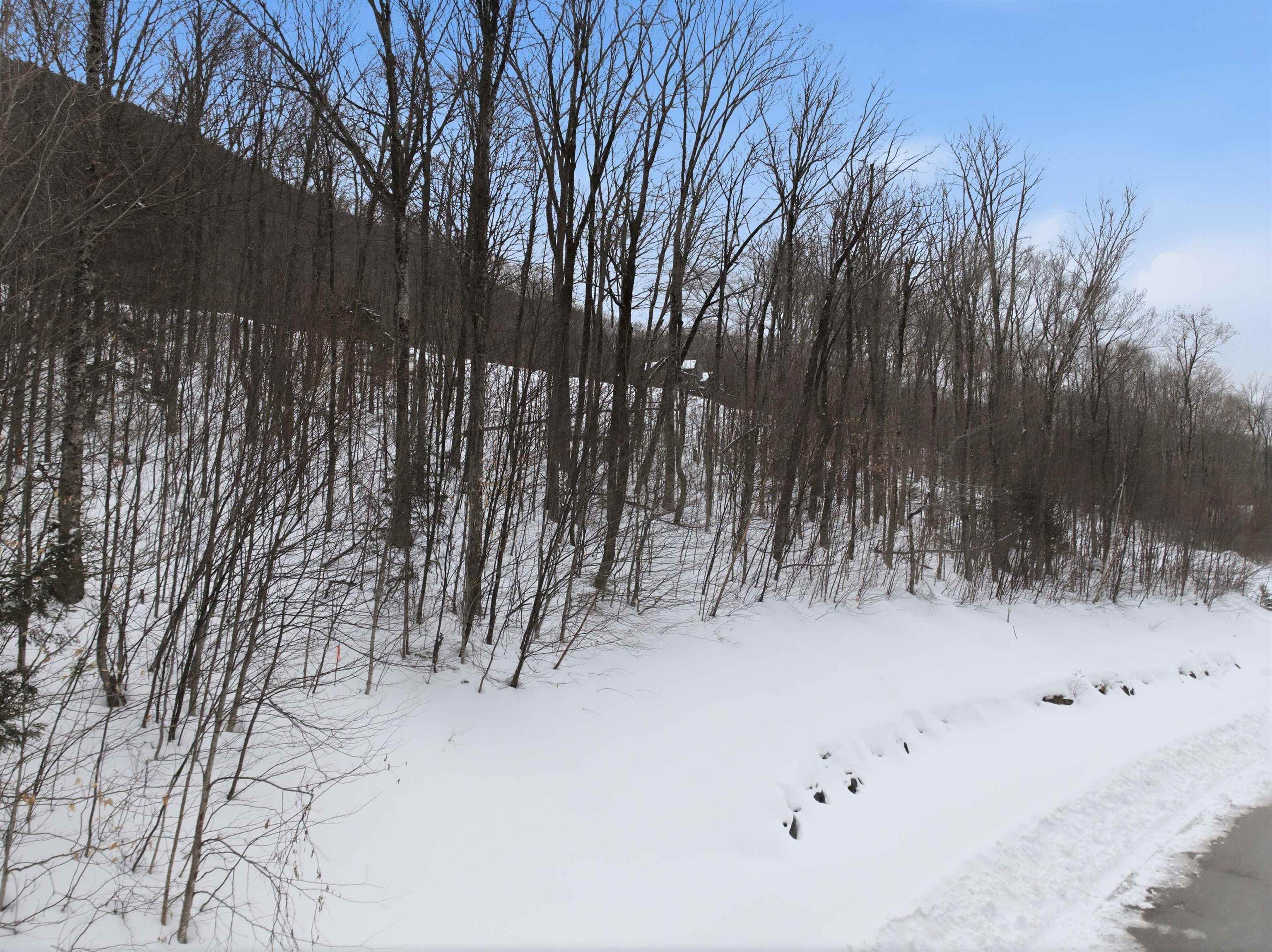 8 Buck Road Lincoln, NH 03251 - Photo 14 of 18