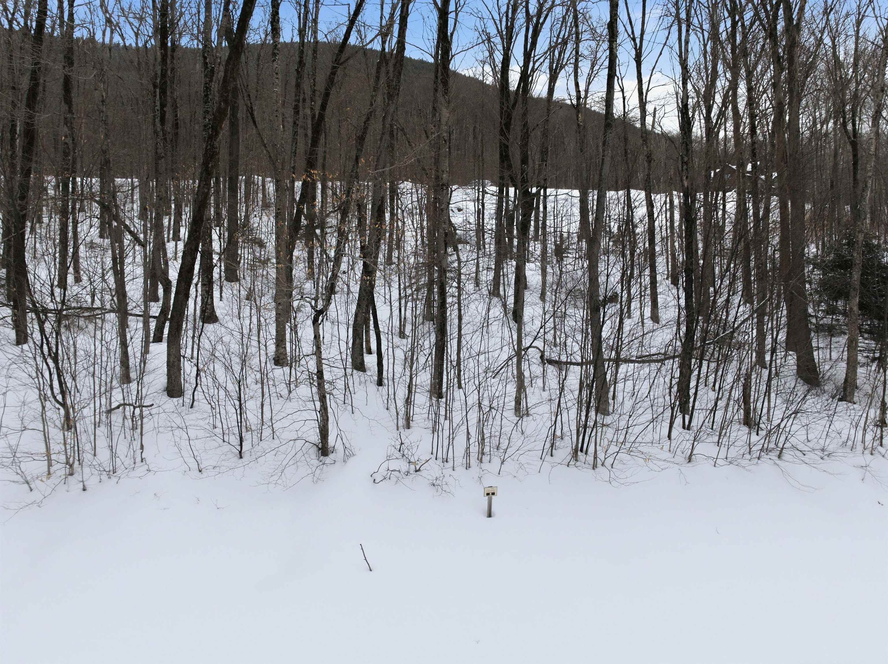 8 Buck Road Lincoln, NH 03251 - Photo 15 of 18