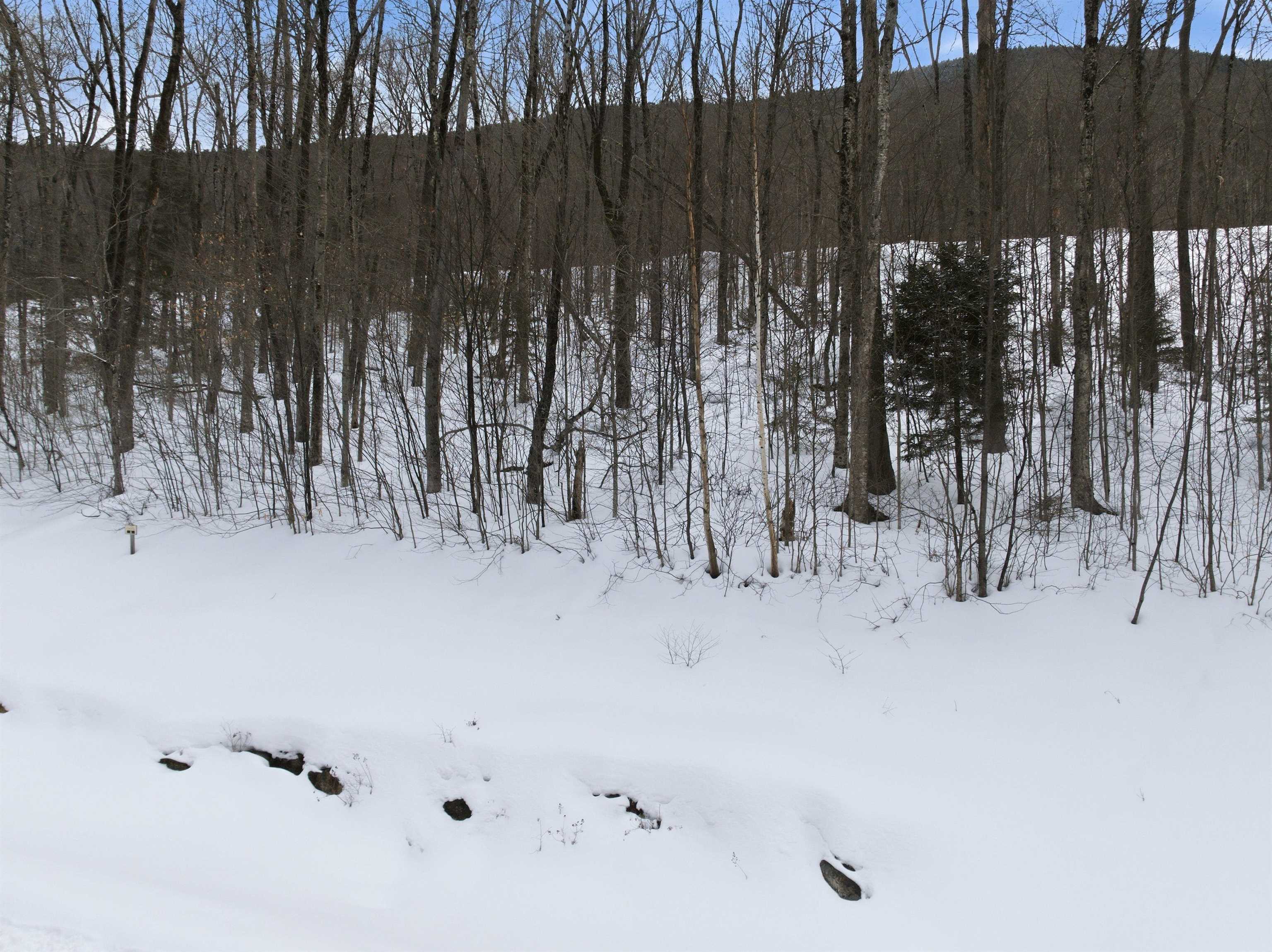 8 Buck Road Lincoln, NH 03251 - Photo 16 of 18