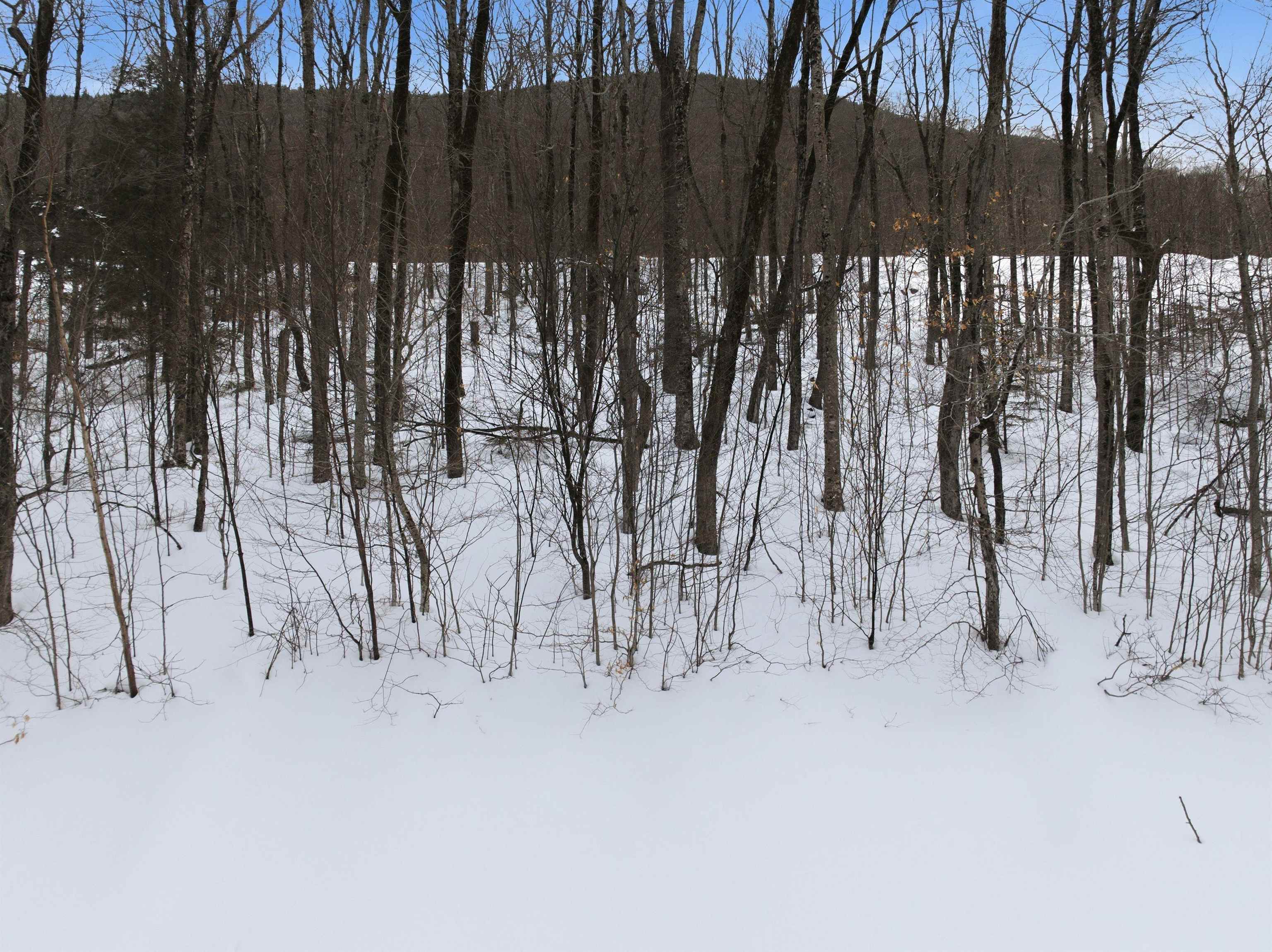 8 Buck Road Lincoln, NH 03251 - Photo 17 of 18
