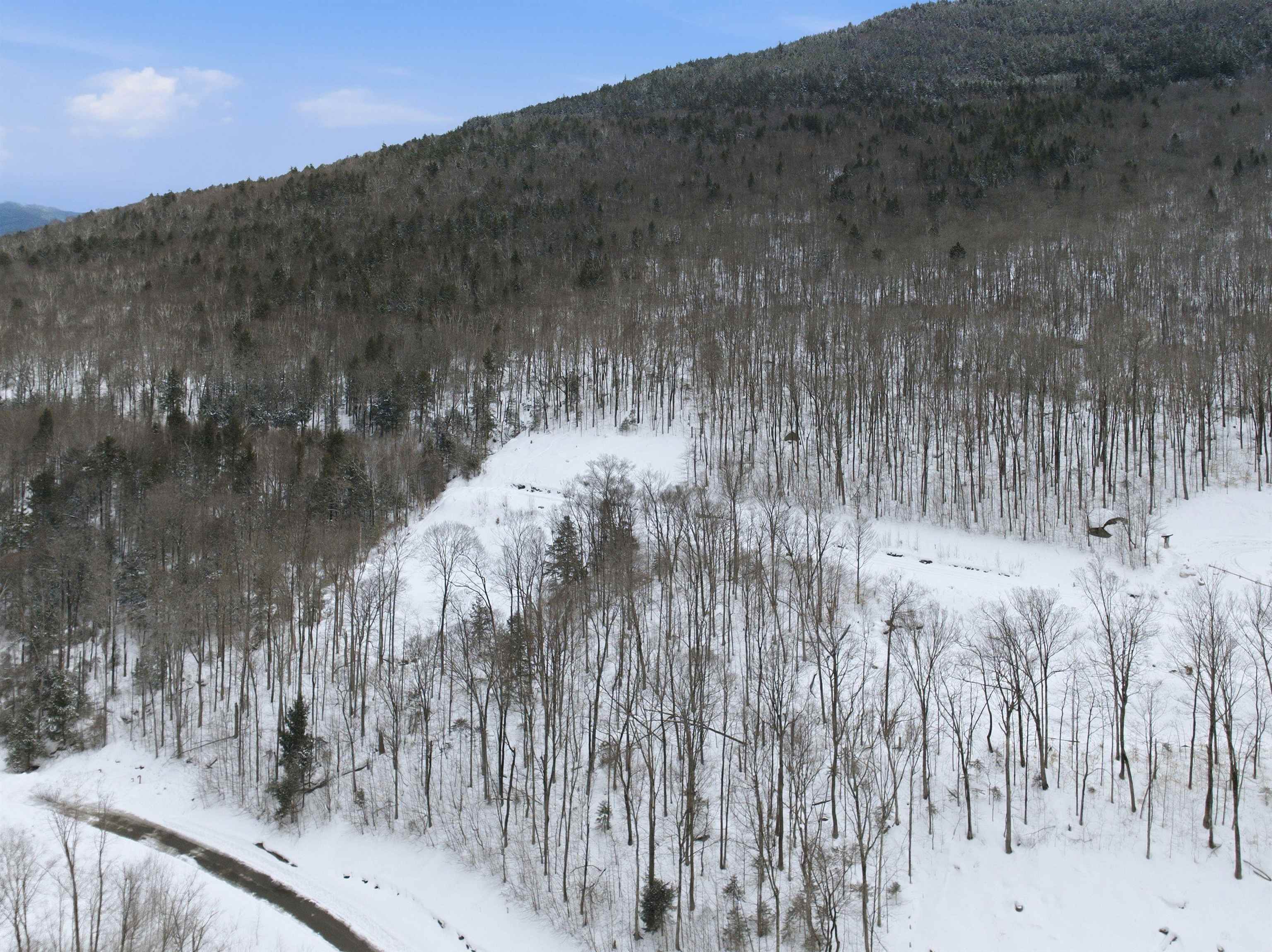 8 Buck Road Lincoln, NH 03251 - Photo 3 of 18