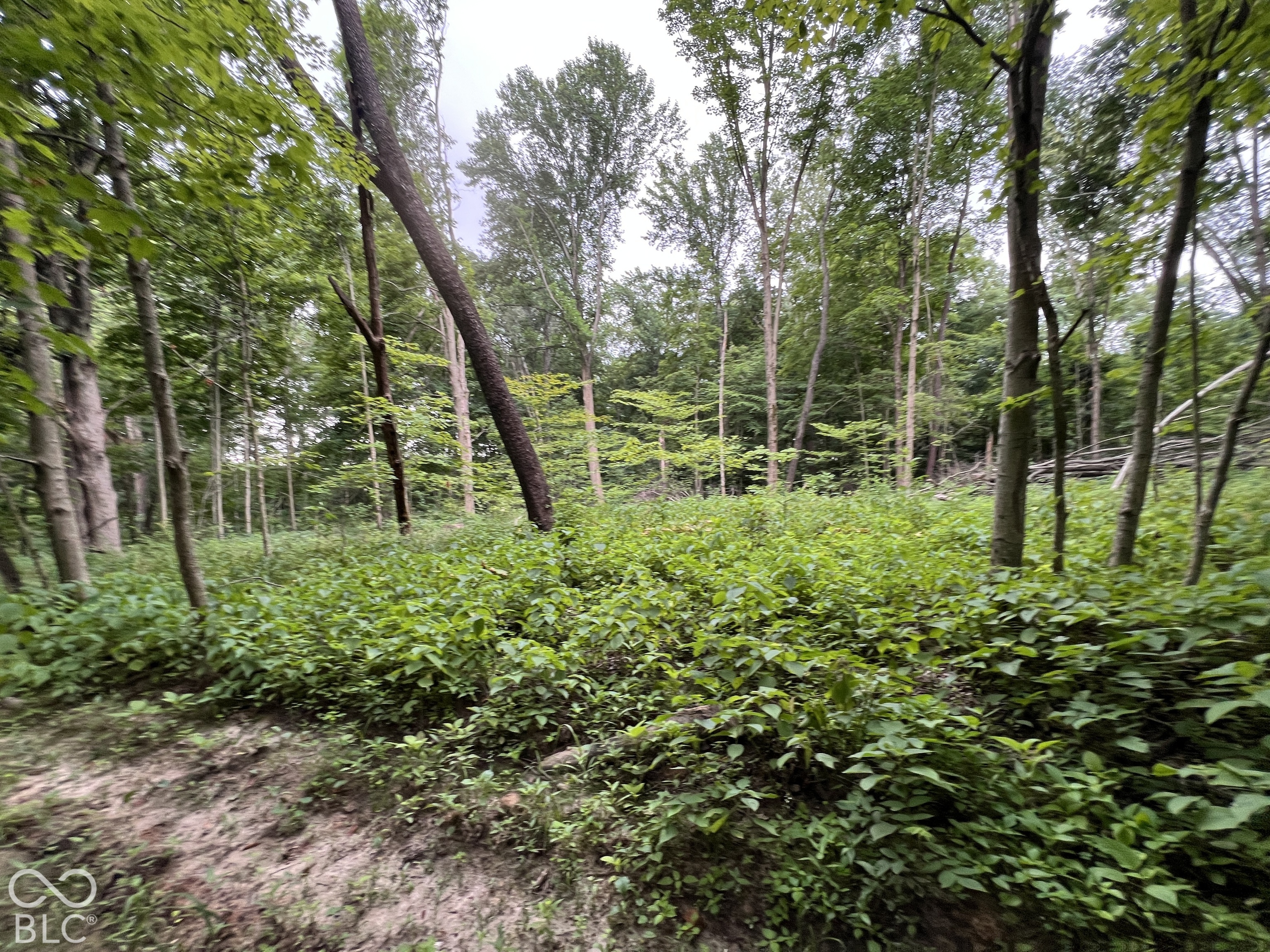 15040 Lindsey Road Milton, IN 47357 - Photo 38 of 46 Gallery Image 38