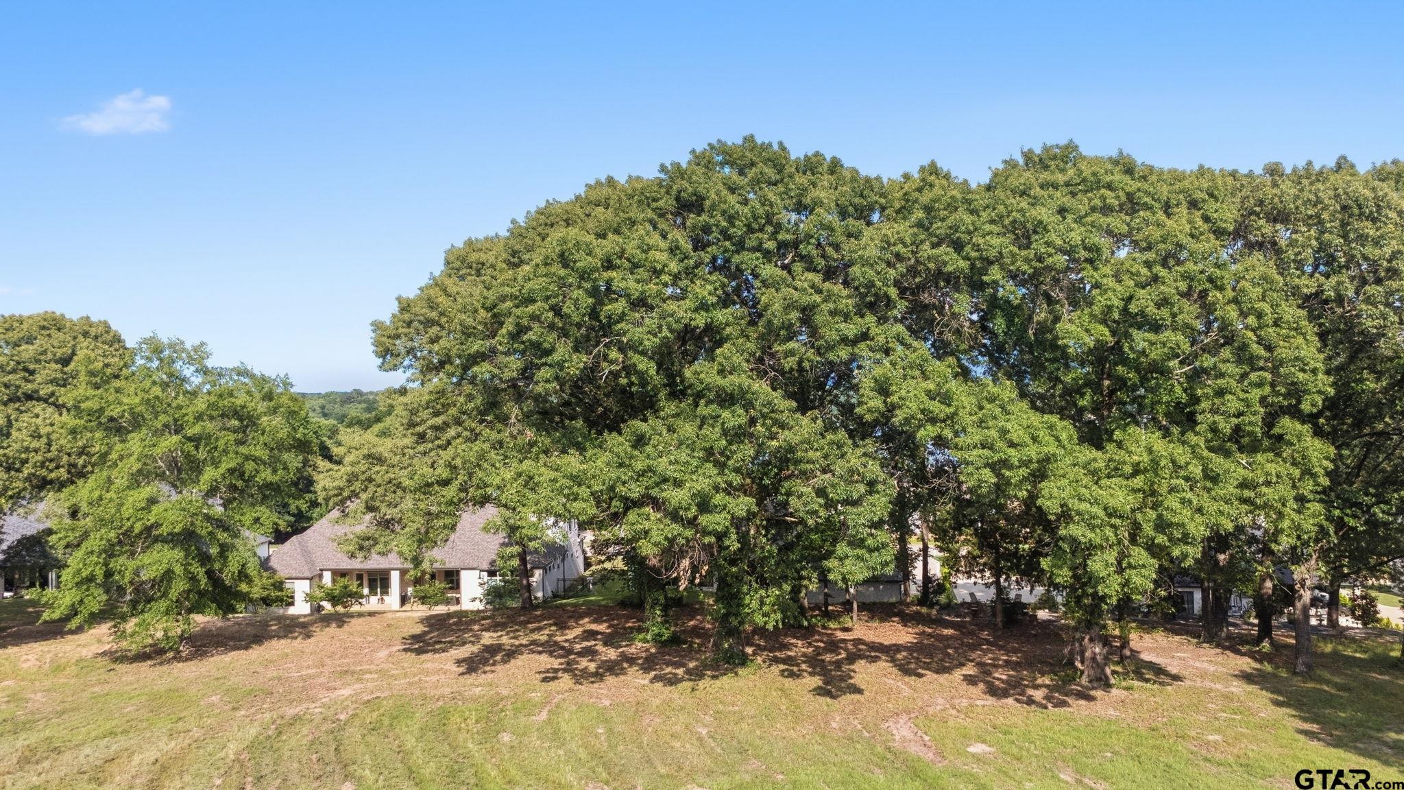 2473 Wellington Trace Tyler, TX 75709 - Photo 11 of 18 a view of yard with tree in the background