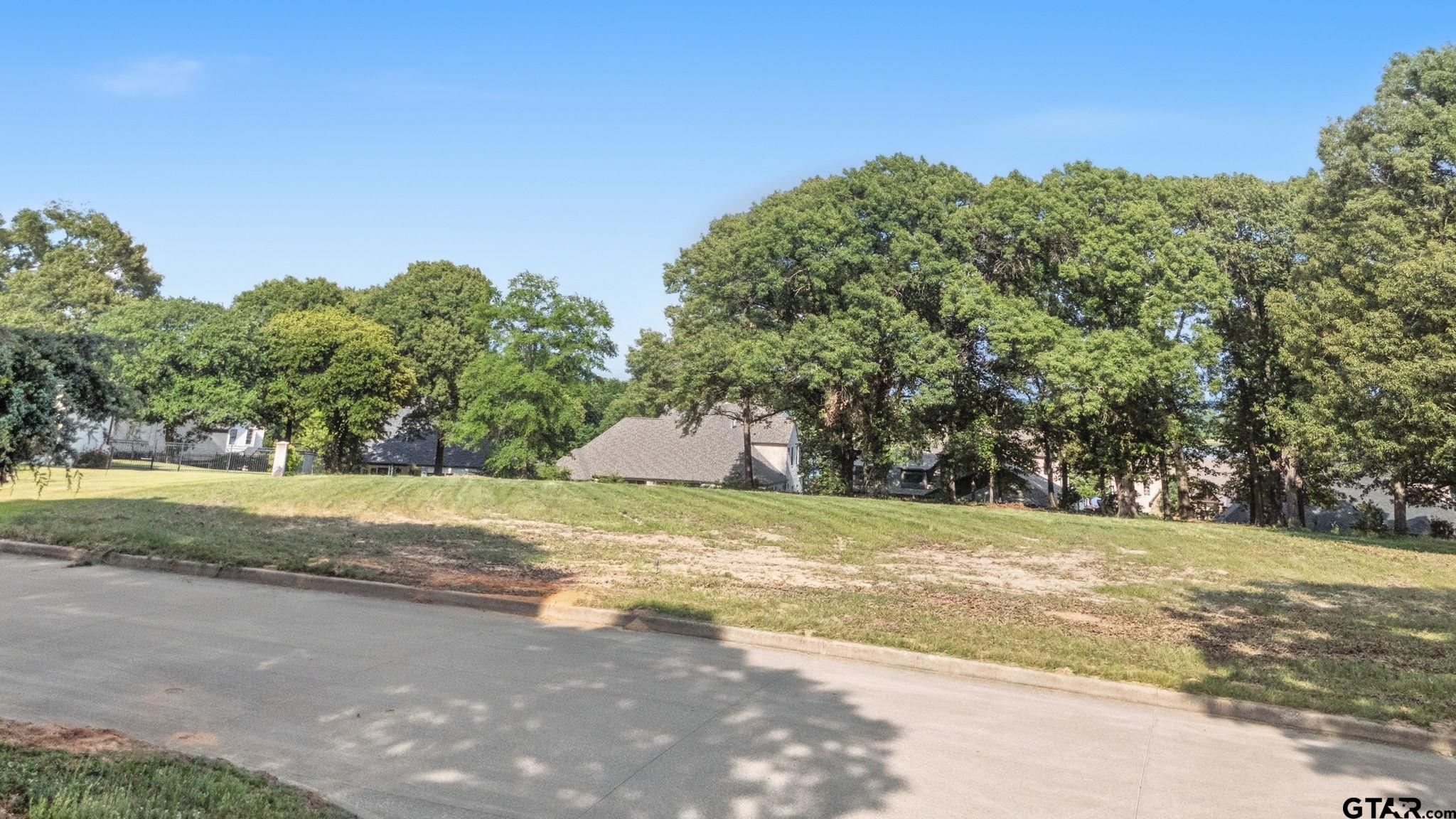 2473 Wellington Trace Tyler, TX 75709 - Photo 12 of 18 a view of a yard with a house in the background