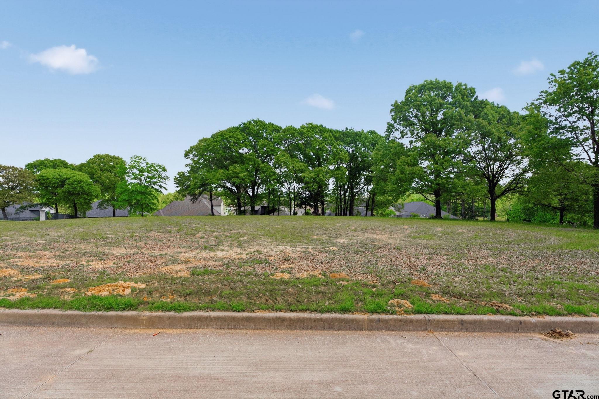 2473 Wellington Trace Tyler, TX 75709 - Photo 2 of 18 a view of a yard