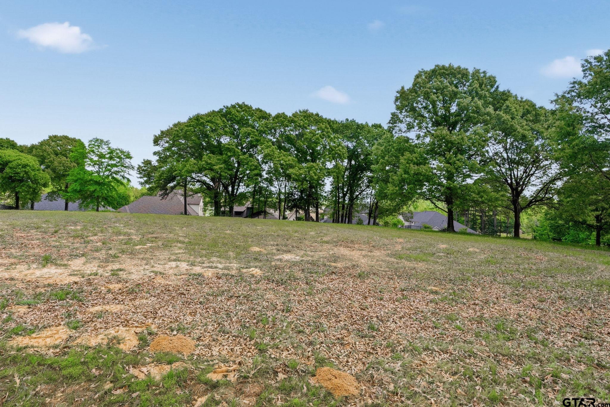 2473 Wellington Trace Tyler, TX 75709 - Photo 3 of 18 a view of a yard with a tree