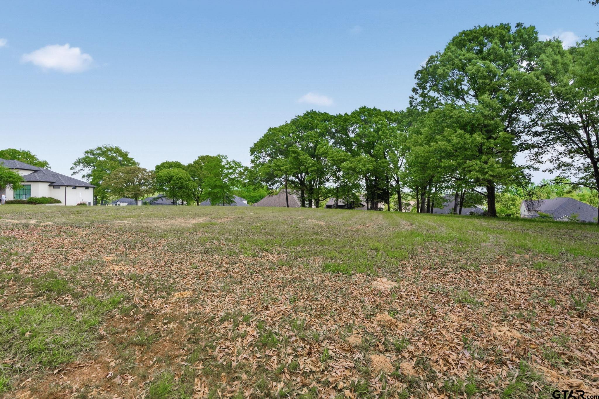 2473 Wellington Trace Tyler, TX 75709 - Photo 7 of 18 a view of a trees with yard