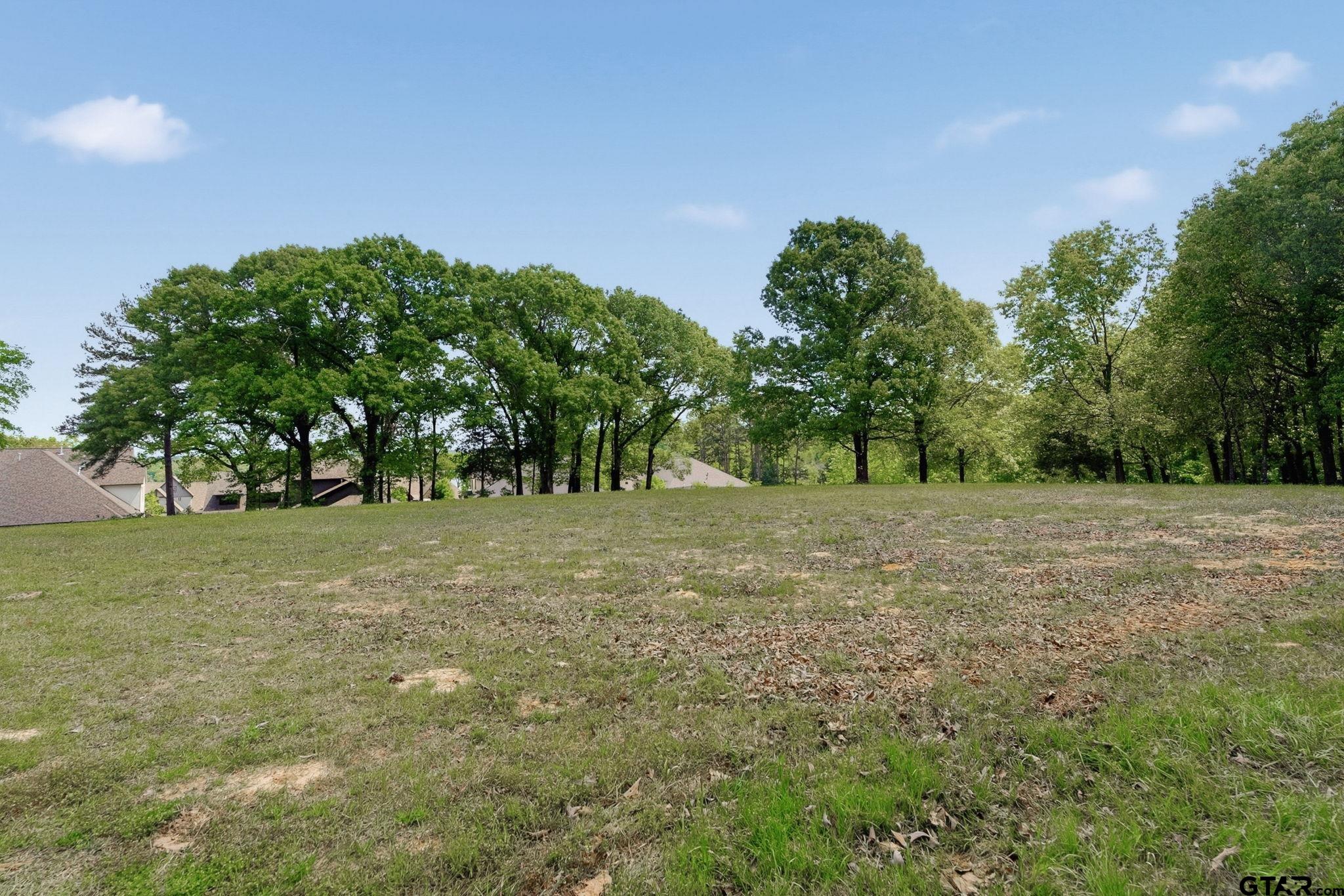 2473 Wellington Trace Tyler, TX 75709 - Photo 8 of 18 a view of a field with trees in the background