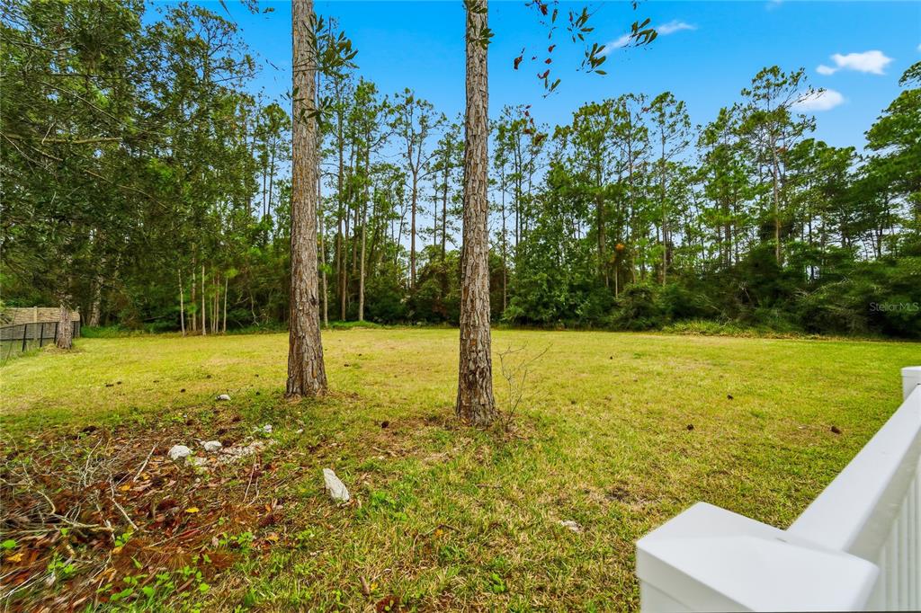 14728 Henson Road Orlando, FL 32832 - Photo 29 of 79 a view of an outdoor space and a yard