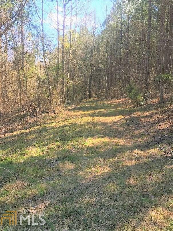 0 Bridges Anthony Road Washington, GA 30673 - Photo 1 of 1 a view of a yard with large trees