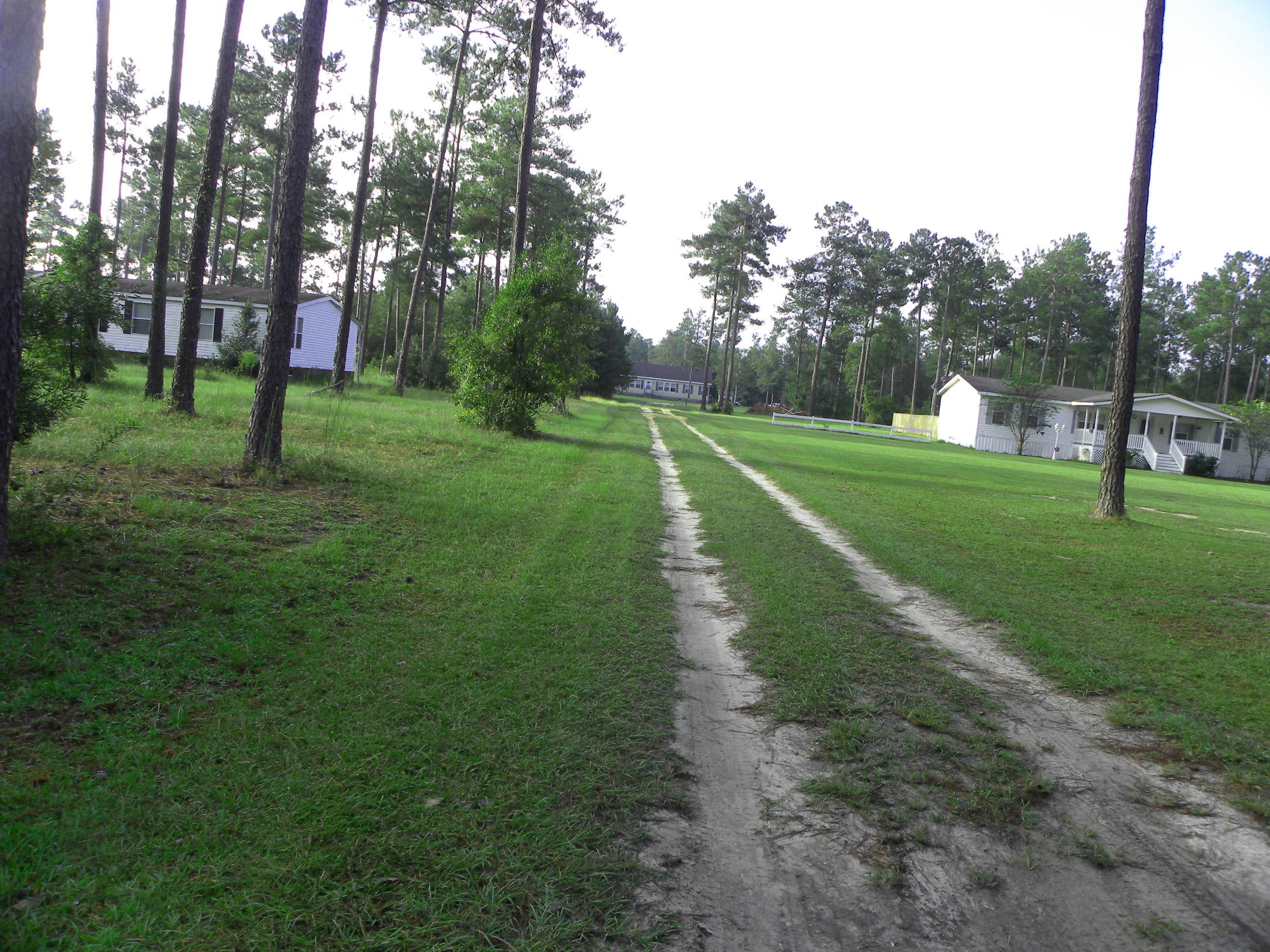 1237 Penny Creek Drive Ruffin, SC 29475 - Photo 2 of 19 DSCN8642