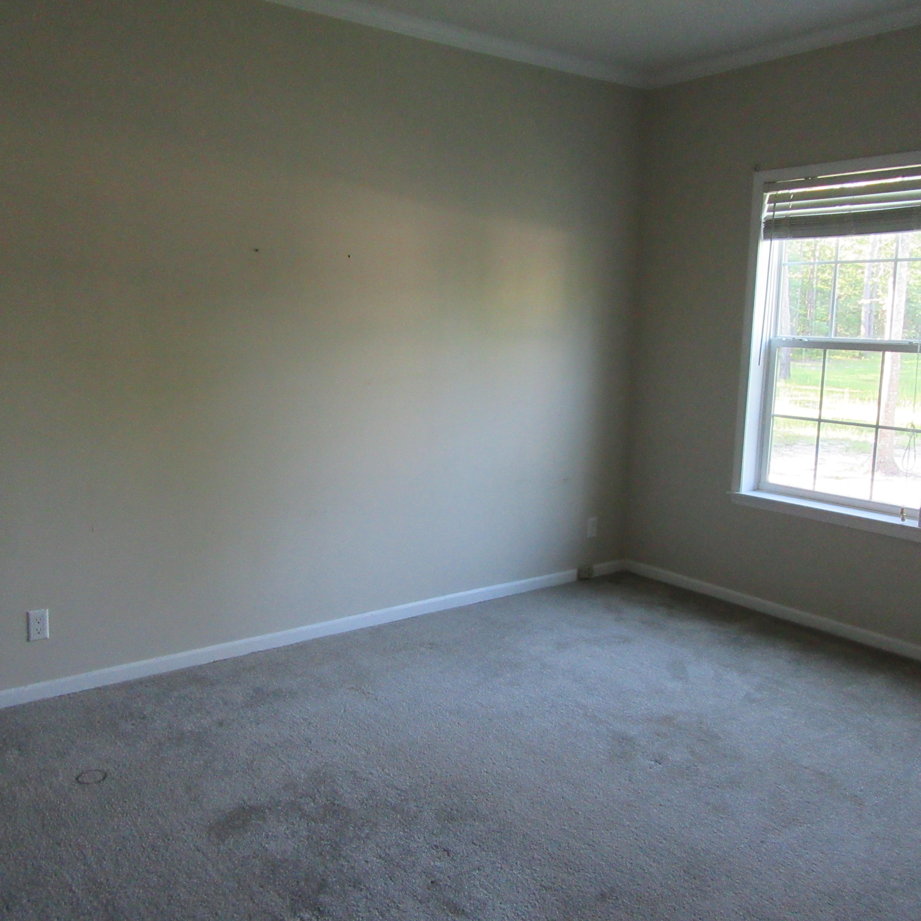 1237 Penny Creek Drive Ruffin, SC 29475 - Photo 12 of 19 IMG_0891