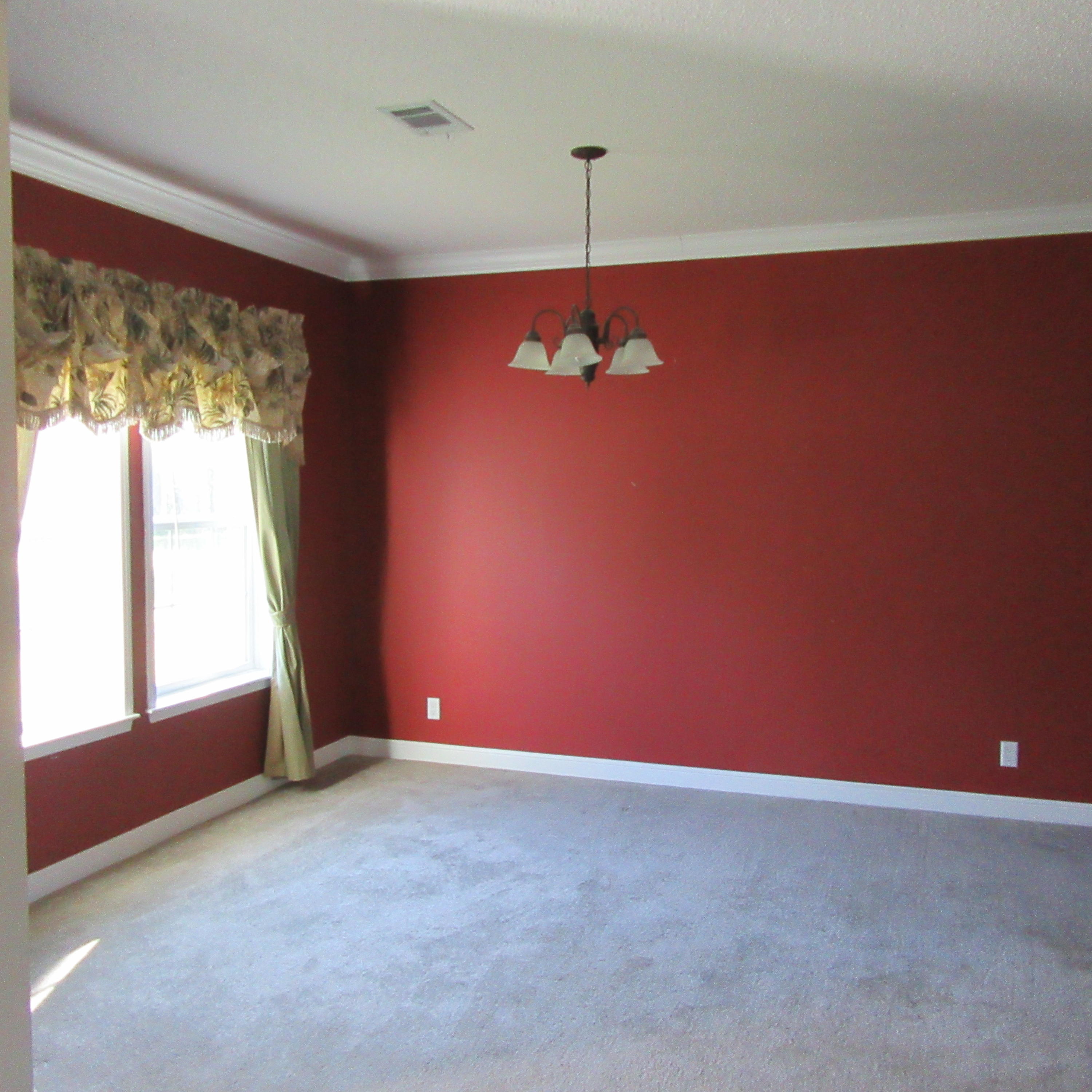 1237 Penny Creek Drive Ruffin, SC 29475 - Photo 6 of 19 IMG_0885