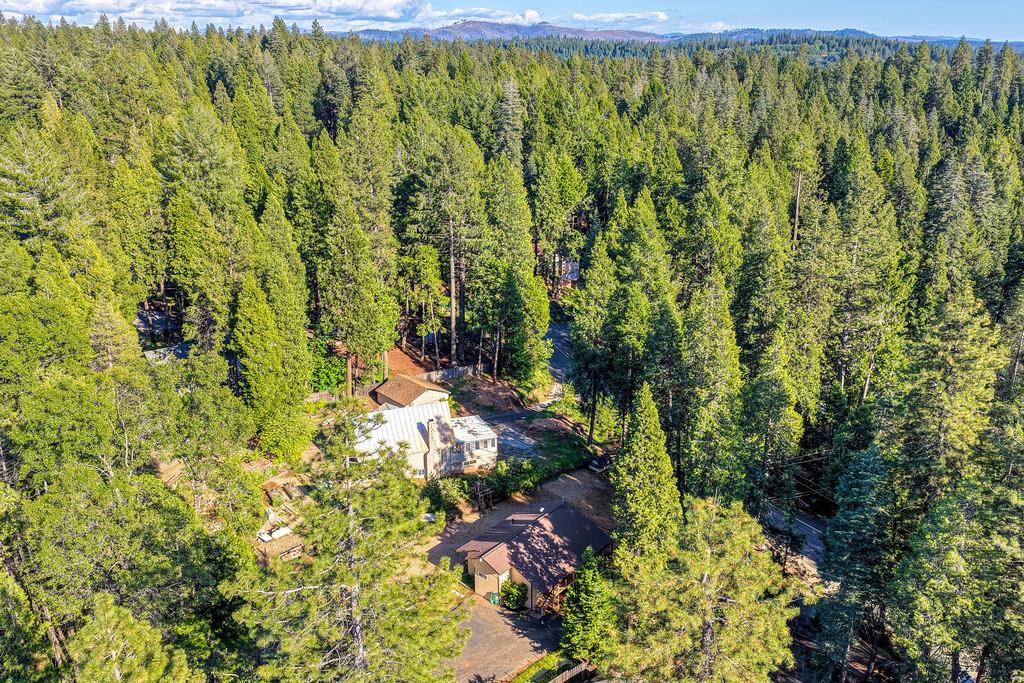 5415 Robert Road Pollock Pines, CA 95726 - Photo 2 of 72