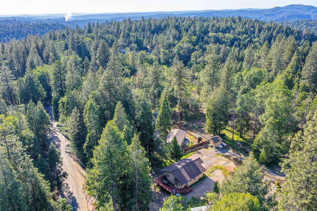5415 Robert Road Pollock Pines, CA 95726 - Photo 3 of 72