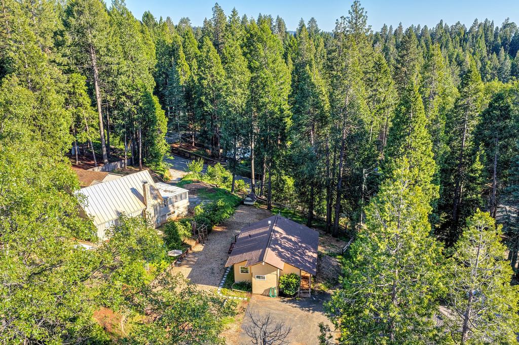 5415 Robert Road Pollock Pines, CA 95726 - Photo 4 of 72