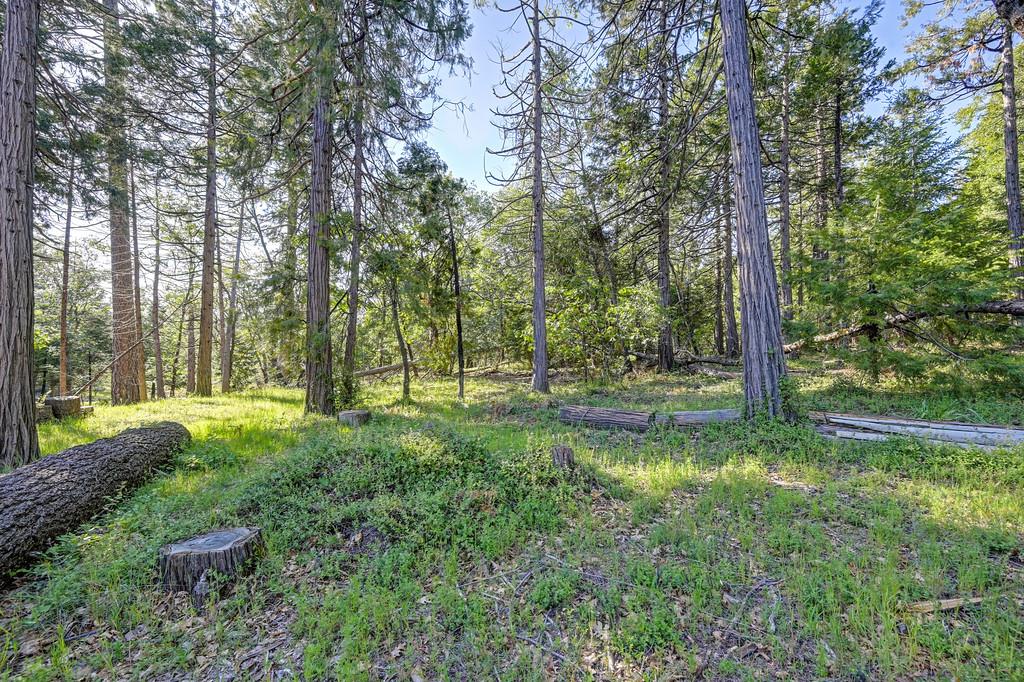 5415 Robert Road Pollock Pines, CA 95726 - Photo 42 of 72 No rear neighbors- just serene nature views!