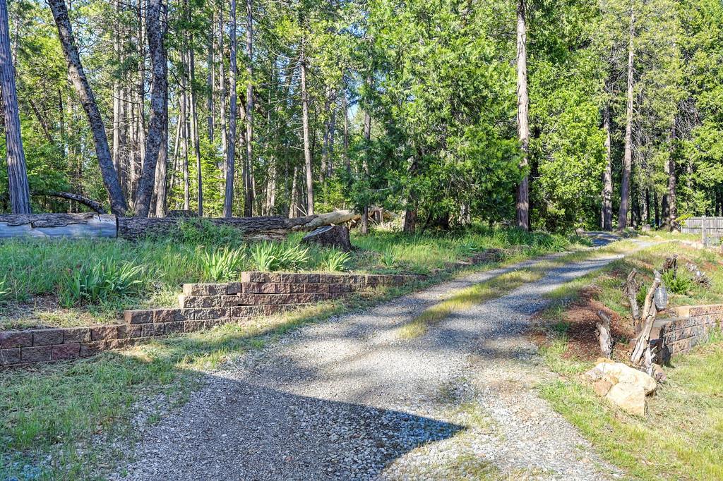 5415 Robert Road Pollock Pines, CA 95726 - Photo 44 of 72 dual access to property-Level road entrance