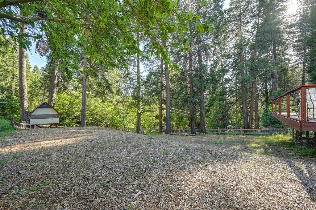 5415 Robert Road Pollock Pines, CA 95726 - Photo 54 of 72