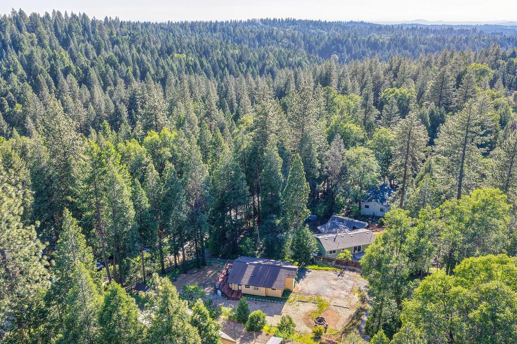5415 Robert Road Pollock Pines, CA 95726 - Photo 71 of 72