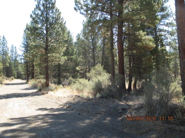 Lot 2200 Sycan Road Beatty, OR 97621 - Photo 5 of 9 IMG_6101