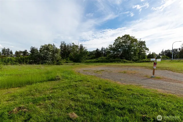 a view of a golf course with a lake