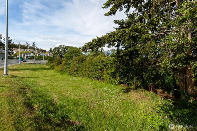 a view of a yard with plants and wooden fence