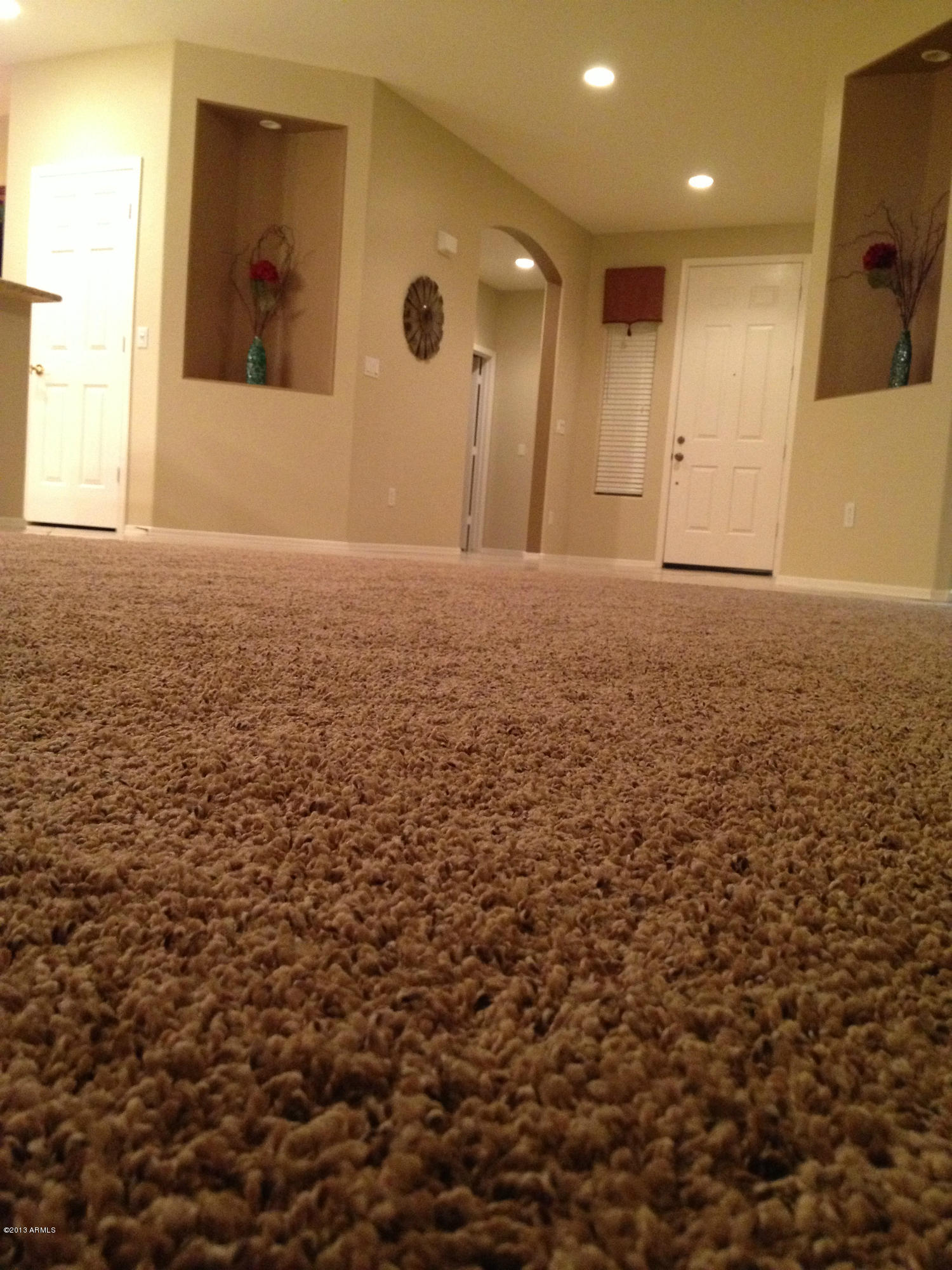 2415 West Carter Road Phoenix, AZ 85041 - Photo 75 of 78 IMG_4118