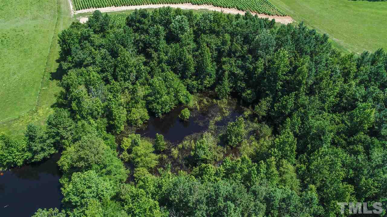 13390 Social Plain Road Middlesex, NC 27557 - Photo 11 of 22