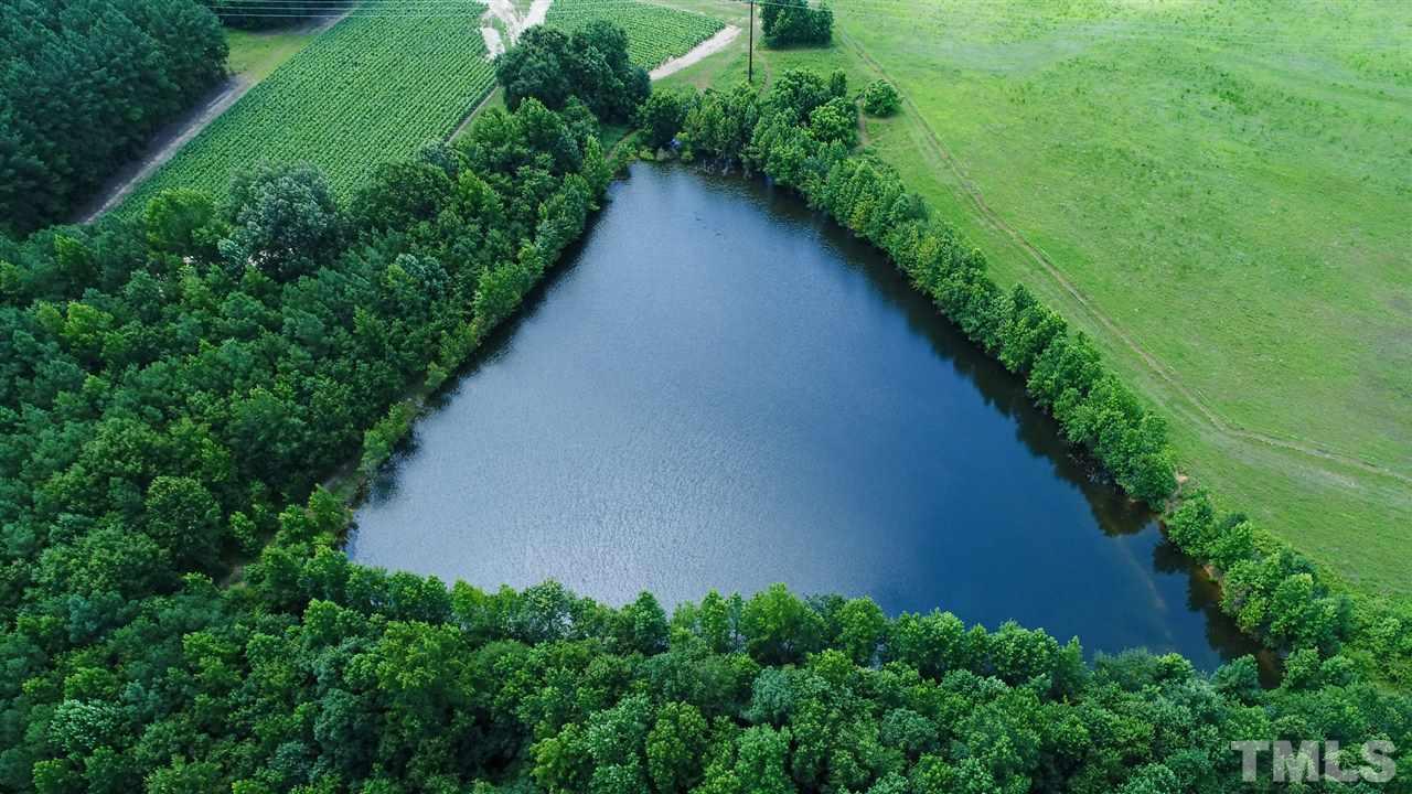 13390 Social Plain Road Middlesex, NC 27557 - Photo 6 of 22