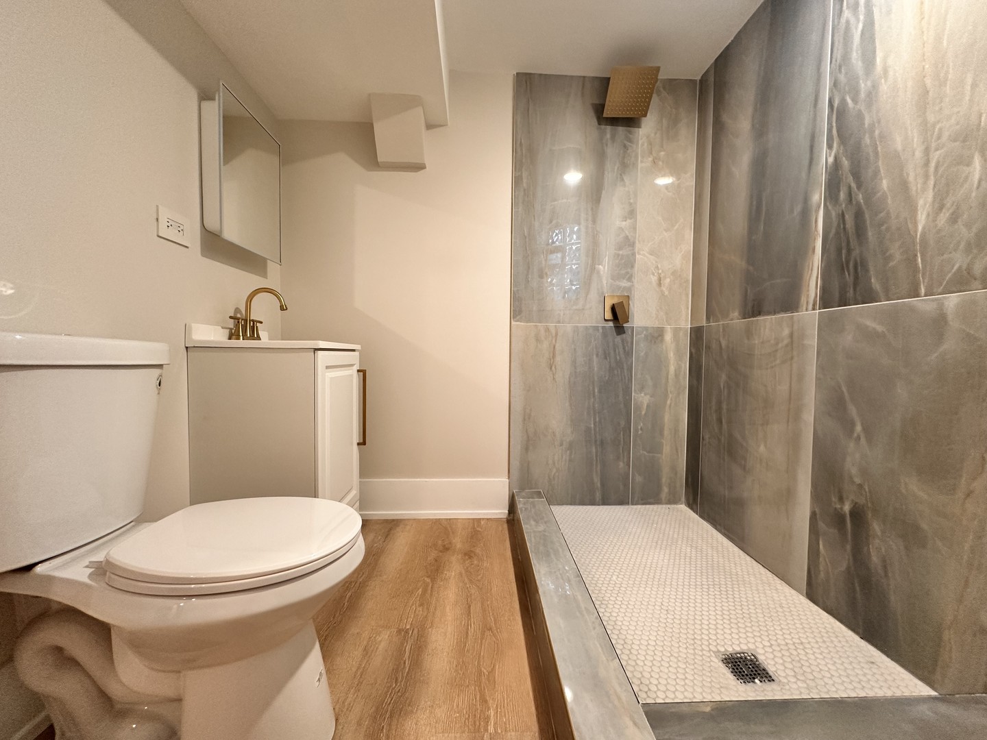 4409 South Prairie Avenue Chicago, IL 60653 - Photo 40 of 44 a bathroom with a toilet and a shower