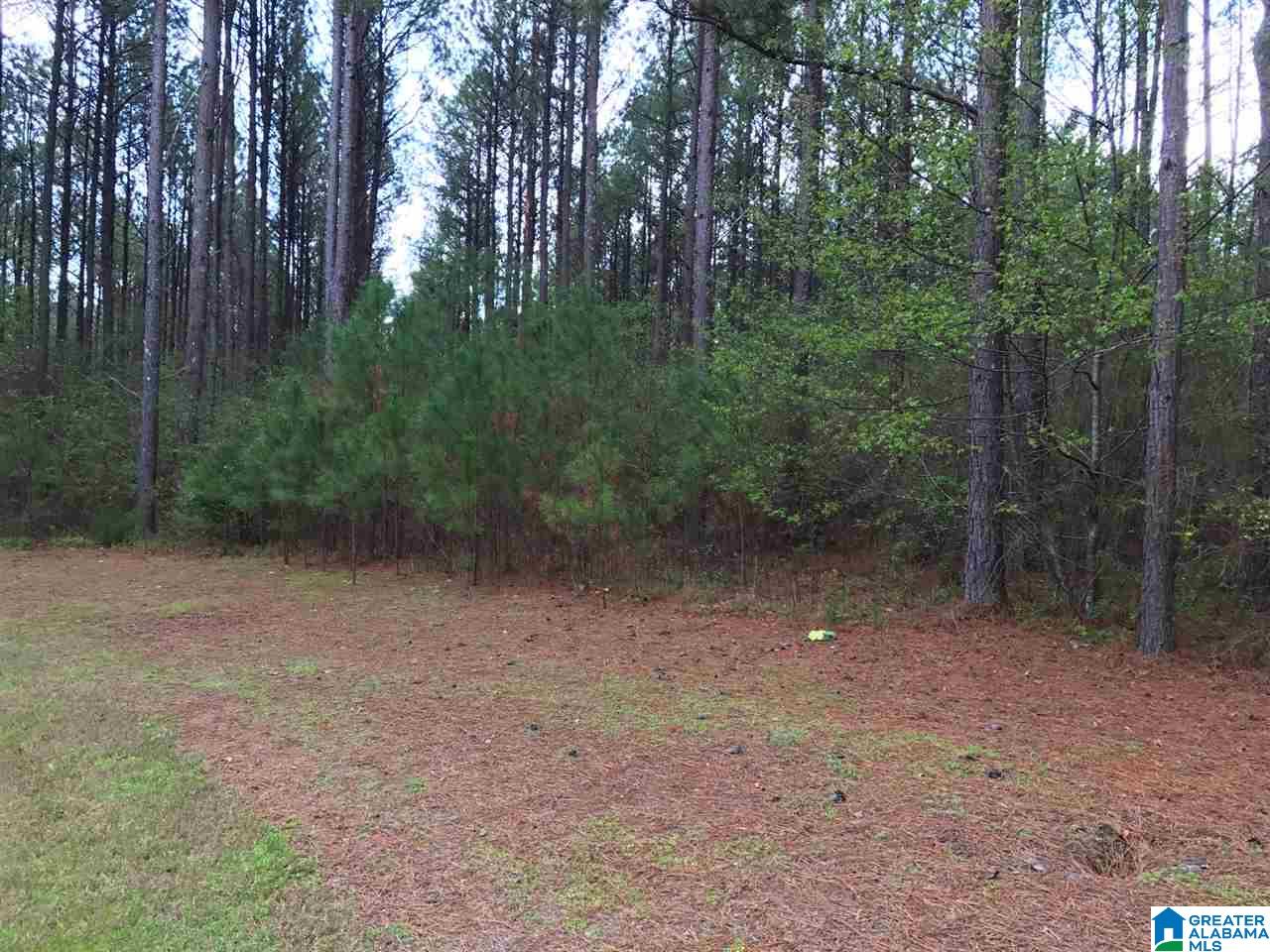 78 Pilgrims Path, Unit 19 Anniston, AL 36207 - Photo 20 of 35