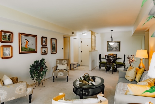 840 Elder Road, Unit A414 Homewood, IL 60430 - Photo 2 of 16