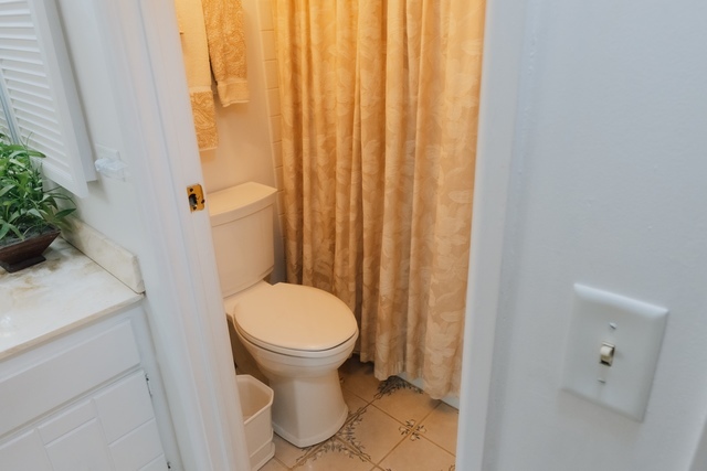 840 Elder Road, Unit A414 Homewood, IL 60430 - Photo 5 of 16