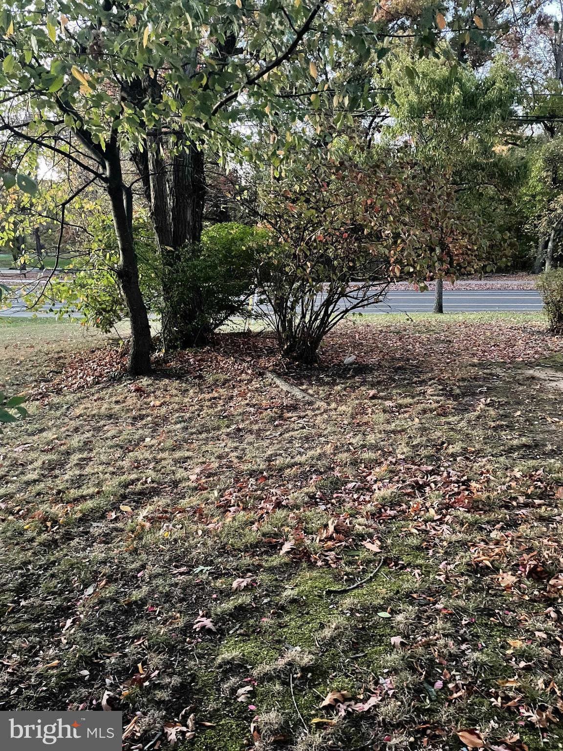 4161 Alabama Avenue Southeast Washington, DC 20019 - Photo 56 of 58 Front Yard- Alabama Ave