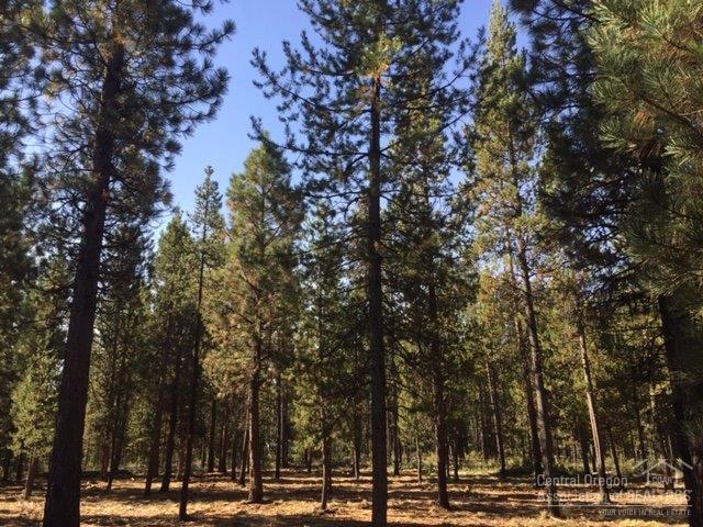 17045 Indio Road Bend, OR 97707 - Photo 1 of 16 Primary Photo