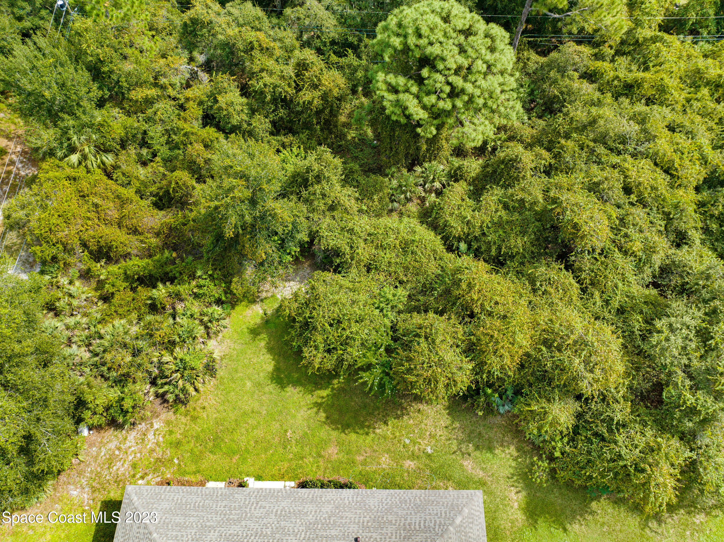 1074 Gray Road Cocoa, FL 32926 - Photo 36 of 47 a view of a yard with plants