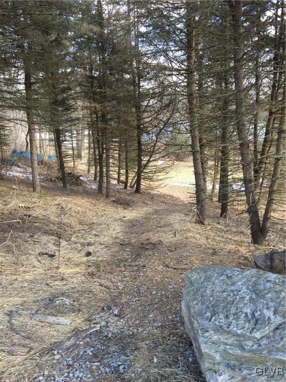 1859 Dinkey Road Lehighton, PA 18235 - Photo 22 of 33 Gallery Image 22