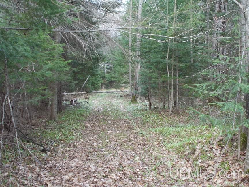 3679 Lang Road Gulliver, MI 49840 - Photo 10 of 17 Gallery Image 10